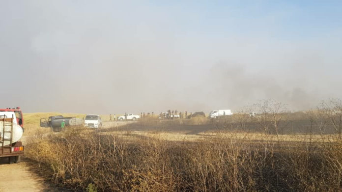 30 000 hectares de terres incendiés dans la région de Cizîr