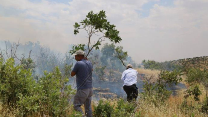 Nusaybin : Les villageois kurdes combattent un feu provoqué par l'armée turque