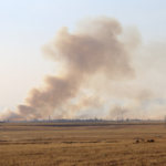 La Turquie et Daesh brûlent le Kurdistan La Turquie et Daesh brûlent le Kurdistan