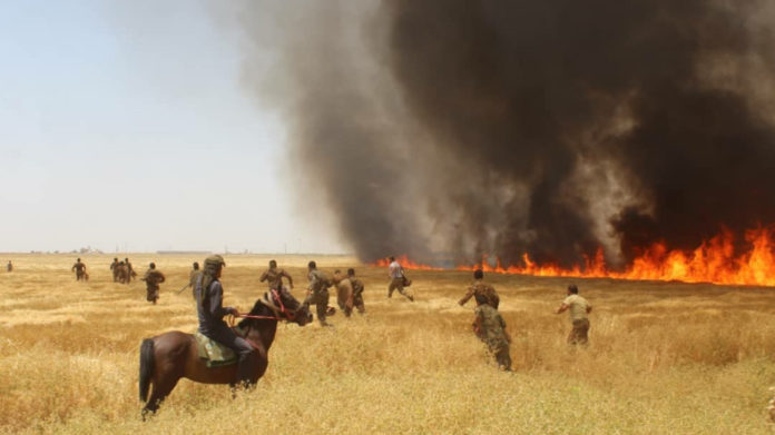 Incendies au Rojava