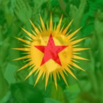 Le confédéralisme démocratique et les frontières Le confédéralisme démocratique et les frontières