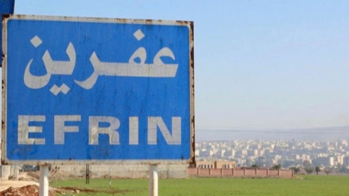Les mercenaires turcs ont pillé 200 arbres à Afrin