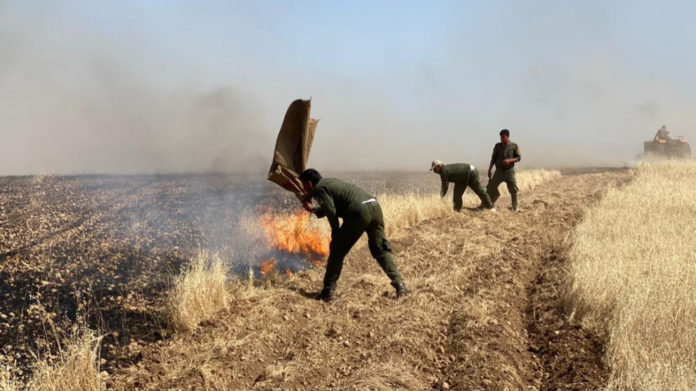 Kobane : Près de 100 hectares de terres agricoles incendiés par des tirs d'artilleries de l’armée turque
