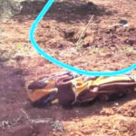 Un habitant d’Afrin enlevé par des mercenaires retrouvé mort à Azaz Il ne se passe pas un jour sans que des crimes soient commis par l'armée turque et ses mercenaires dans les territoires occupés du nord de la Syrie.