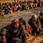 Appel à la création d’un tribunal international pour juger les crimes de Daesh Lors d'une vidéoconférence très médiatisée, des représentants d’États et d’organisations internationales ont appelé à la création d'un tribunal international pour juger les crimes commis par les membres de l’organisation djihadiste Daesh.