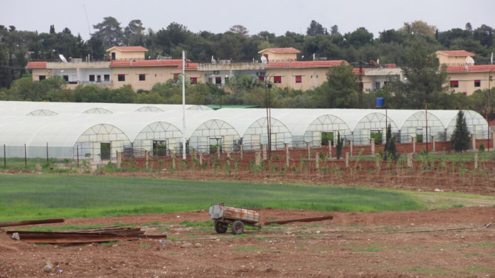 Un projet de culture sous serre lancé au nord-est de la Syrie permet d’approvisionner en légumes près de 450 000 habitants de la région.
