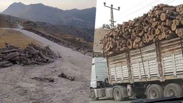 « L'Etat turc coupe les arbres au Kurdistan et largue des bombes dans les zones qu'il ne peut atteindre », ont déclaré les HPG dans un communiqué.