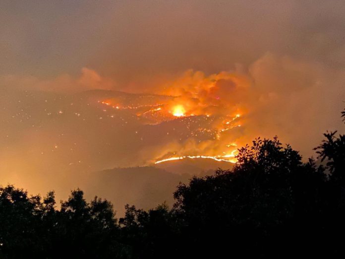 Un incendie de forêt fait rage depuis trois jours dans la province kurde de Bingol. Le feu qui se concentre dans la zone de Süveran, dans le district de Genç ne cesse de se propager. Des milliers d’hectares de forêt ont déjà brûlés. La population locale dénonce le manque de diligence des autorités pour éteindre le feu.