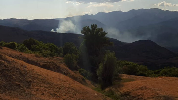 Les bombardements turcs déclenchent un incendie dans les forêts de Hozat