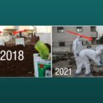 « Fosse commune » à Afrin : Le commandant en chef des FDS dément les allégations turques Le commandant en chef des Forces démocratiques syriennes (FDS) Mazloum Abdi a démenti, par une publication sur Twitter, les déclarations turques concernant la découverte d’une « fosse commune » dans la région occupée d’Afrin, au nord de la Syrie.