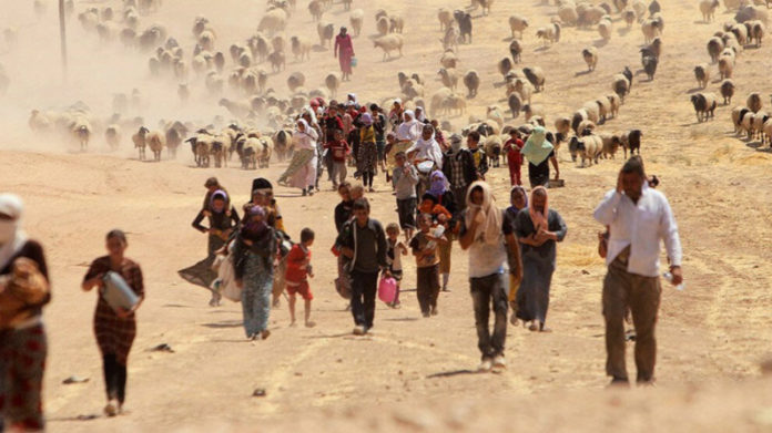 À l’occasion du 7e anniversaire du génocide des Yézidis, la KCK appelle l'humanité à défendre la population yézidie