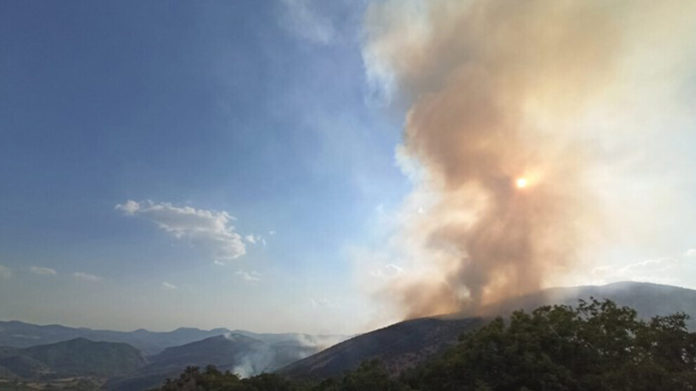 Des centaines d'hectares de forêt ont été détruites par l'incendie qui fait rage à Dersim, mais on ne tente pas d'éteindre le feu en raison du « manque des routes d’accès ». Alican Önlü, député du HDP, lance un appel aux ONG pour qu'elles agissent.