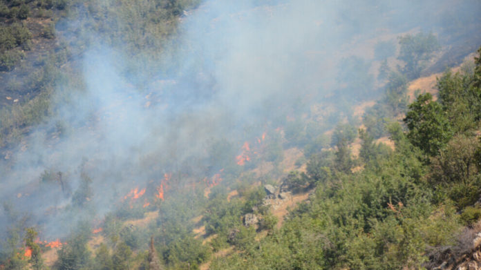Les incendies de forêt continuent de se propager dans les provinces de Dersim, Bingöl, Bitlis et Şırnak. Les opérations militaires turques ont provoqué des incendies de forêt au Kurdistan du Nord (Turquie) depuis plusieurs jours. La lutte contre les incendies est empêchée par les responsables