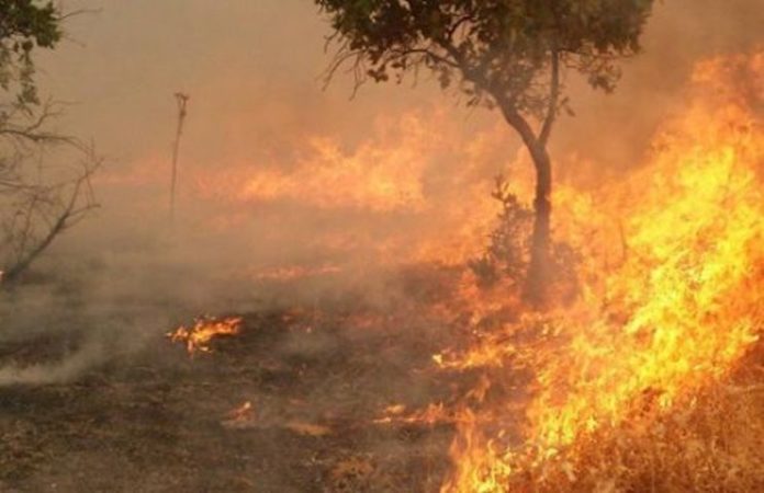 Les zones urbaines de Şemdinli, dans le nord-Kurdistan (Turquie), sont maintenant menacées par l’incendie déclenché il y a deux jours dans la zone forestière du mont Gomanê, dans le village de Nêrkola.