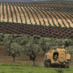 Afrin: les récoltes d’olives confisquées par les mercenaires pro-turcs Alors que commence la cueillette des olives dans la région d’Afrin, les récoltes sont saisies par les mercenaires pro-turcs
