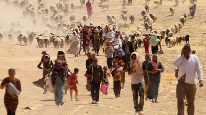 Le 3 août 2014, les hordes terroristes de l’EI envahissaient la région yézidie de Shengal au Sud-Kurdistan, et s’y livraient à un carnage