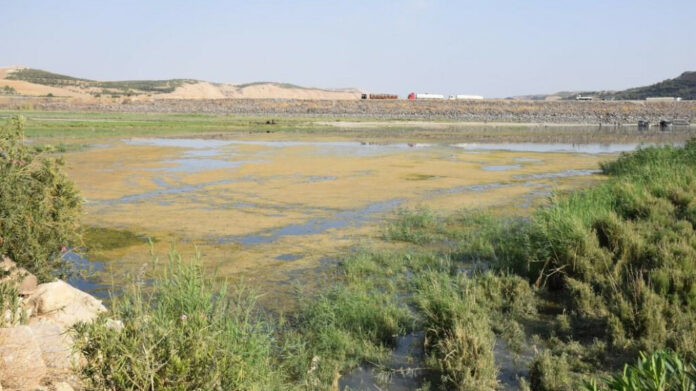 Selon le Comité de santé de Kobanê, 6 879 personnes sont tombées malades en raison de la réduction des eaux de l’Euphrate