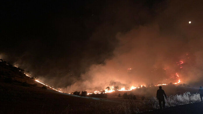 L’incendie qui fait rage depuis jeudi soir dans les régions kurdes de Mardin et Diyarbakir a fait au moins 5 morts et 44 blessés