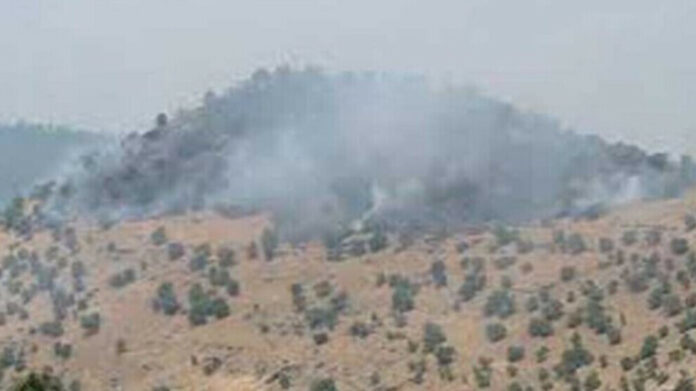 L'État turc a intensifié sa présence militaire au Sud du Kurdistan (Kurdistan irakien), envoyant un nombre important de véhicules blindés et de camions vers la ville de Şêladize dans la région de Duhok. Ces envois militaires sont effectués sous la supervision du Parti Démocratique du Kurdistan (PDK).