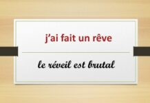Paix au Kurdistan : j’ai fait un rêve, mais le réveil est brutal J’ai fait un rêve : je suis à Genève, au sein du Palais des Nations, à l’Office des Nations Unies (ONU Genève), là où se tient à huis clos une importante réunion, sous l’égide de l’Union européenne (U.E.), entre belligérants qui s’affrontent depuis 1984 au sein de la Turquie. Les participants, en présentiel et en distanciel, sont en pleine négociation.