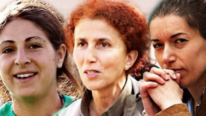 Le 9 janvier 2013, Sakine Cansız, Fidan Doğan et Leyla Şaylemez étaient sauvagement assassinées à Paris. Elles ont été frappées dans un lieu qu'elles considéraient comme sûr, le bureau où Fidan Doğan se rendait chaque jour dans le cadre de son travail diplomatique.